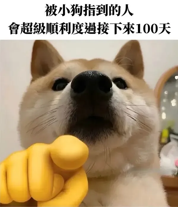 Whoever the puppy points at will have super smooth luck for the next 100 days