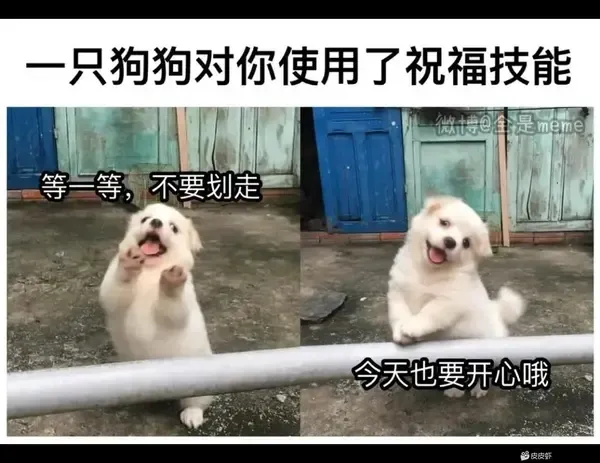 Wait, don’t swipe away. A dog has used its blessing skill on you. Be happy today too.